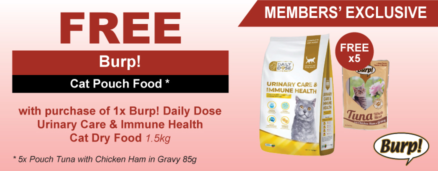 Burp! Cat Dry Food Promo